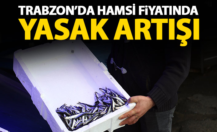 Trabzon Da Hamsi Fiyat Nda Yasak Art Trabzon Haber Haber