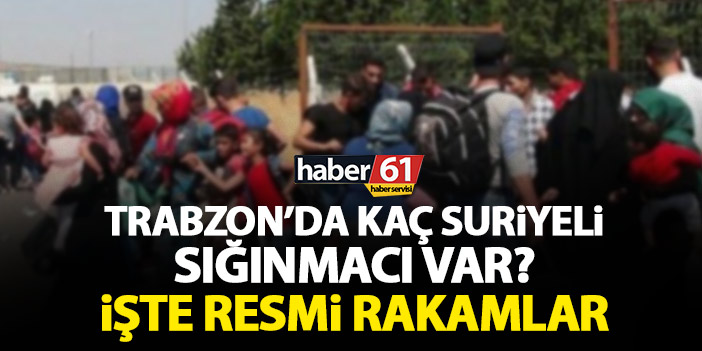 Trabzonda kaç Suriyeli sığınmacı var İşte resmi rakamlar Trabzon