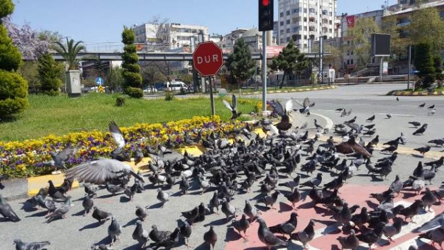 Sokağa çıkma yasağının son gününde Trabzon sessiz 11