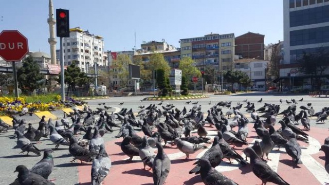 Sokağa çıkma yasağının son gününde Trabzon sessiz 3