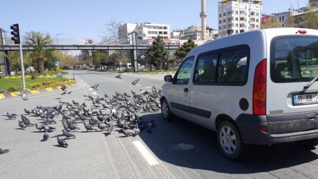 Sokağa çıkma yasağının son gününde Trabzon sessiz 2