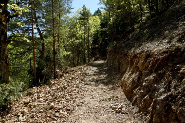 Artvin'de en uzun ekoturizm yolu Karadeniz'de hayata geçiyor 8