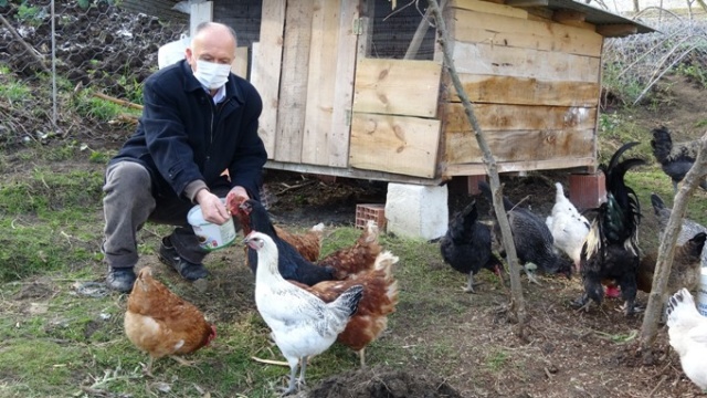 Komşular arası tavuk kavgasına tünelli çözüm 10