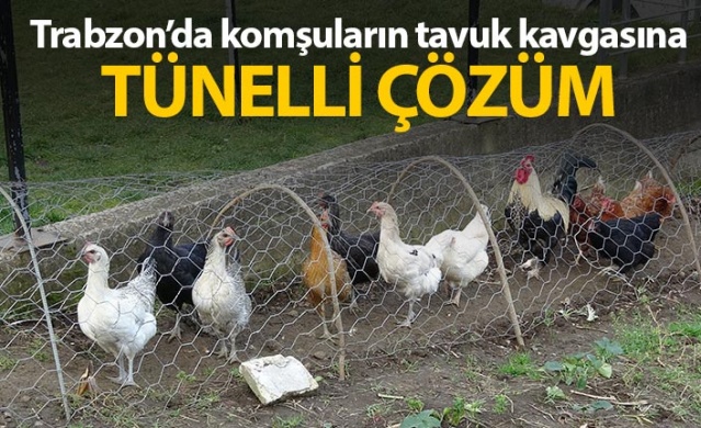 Komşular arası tavuk kavgasına tünelli çözüm 1