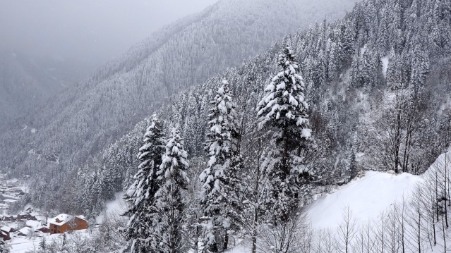 Uzungöl'de kar güzelliği 15