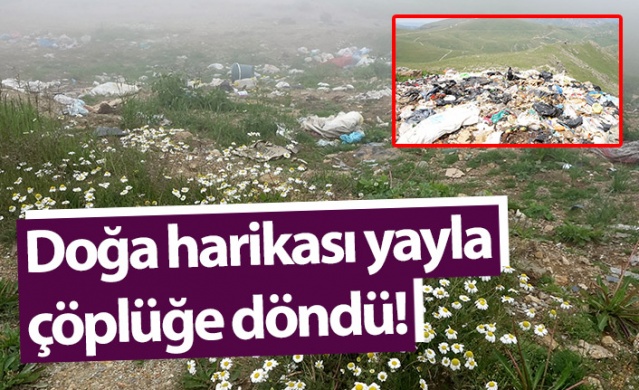 Doğa harikası Taşköprü Yaylası çöplüğe döndü 1