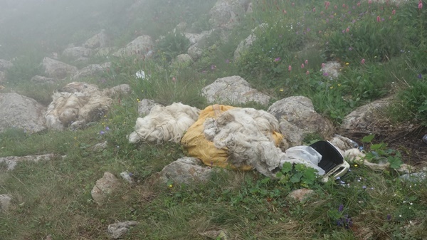 Doğa harikası Taşköprü Yaylası çöplüğe döndü 13