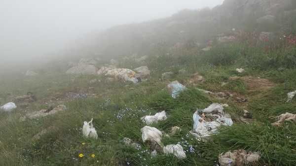 Doğa harikası Taşköprü Yaylası çöplüğe döndü 15