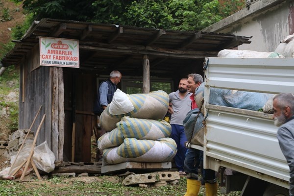 Rize'de selde yıkılmıştı! Yenisi yapılmayınca çaylar böyle alınıyor. Foto Haber 2