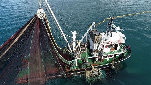 Karadeniz’de yeni balık avı sezonu hazırlığı - Foto Haber 9