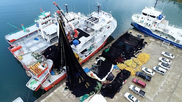 Karadeniz’de yeni balık avı sezonu hazırlığı - Foto Haber 11