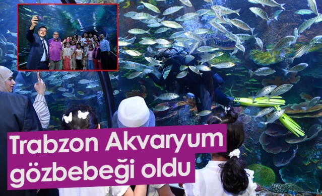 ‘Trabzon Akvaryum’ ziyaretçilerin gözbebeği oldu! Foto Galeri 1