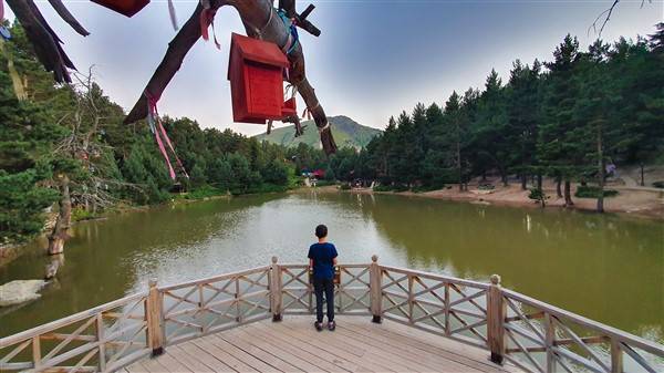 Gümüşhane'de Limni Gölü'ne ziyaretçi akını 9