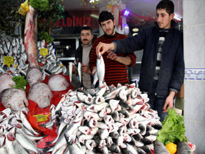 Karadeniz'de istavrit ve kefal bereketi