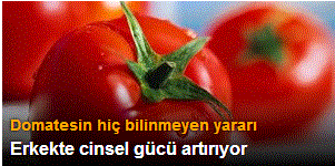 Erkekte cinsel gücü artırıyor