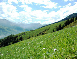 Yayla yollarında dönüşüm!