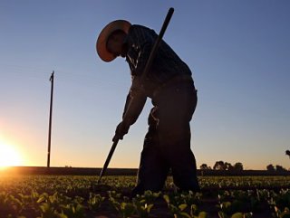 Devletten çalışanlara gıda yardımı