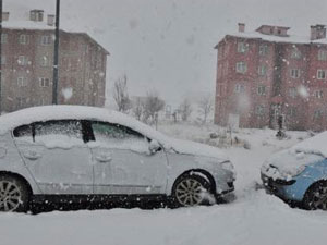 Ordu'da kar tatil ettirdi