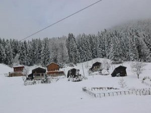 Rize'de eğitime kar engeli 07 Ocak 2015