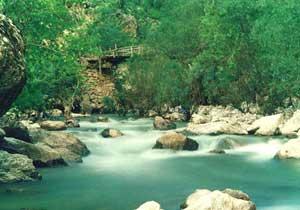 Ordu'nun Dereleri Artık Akmıyor