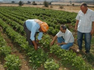 Binlerce kişiye yeni iş kapısı!