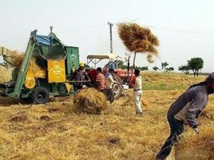 Elektrik borcu olan çiftçiye destek ödemesi yok