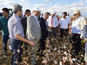 Besni’de Tarla Günleri Etkinliği Düzenlendi