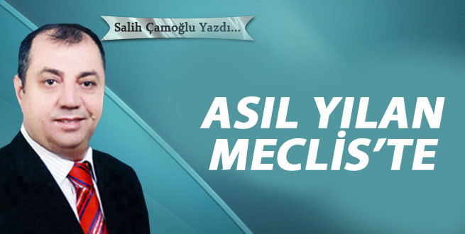 Asıl Yılan Mecliste