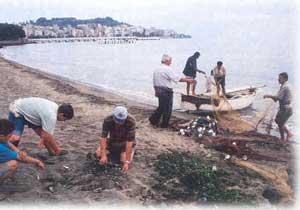 Karadeniz'de Balık Oranı Düştü