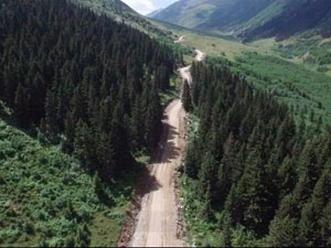 Yeşil Yol'da kan aktı!