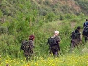 PKK’nın arkasında 28 devlet var!