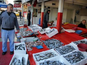 Karadeniz'de balıkçıların yüzü güldü