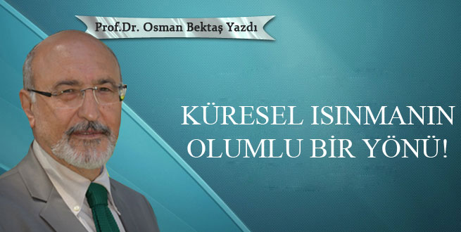 Küresel ısınmanın olumlu bir yönü!