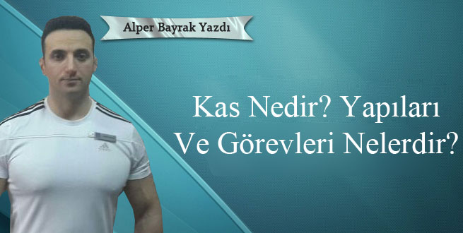 Kas Nedir? Yapıları Ve Görevleri Nelerdir?