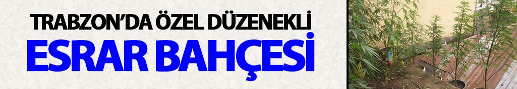 Trabzon'da özel düzenekli esrar bahçesi yakalandı