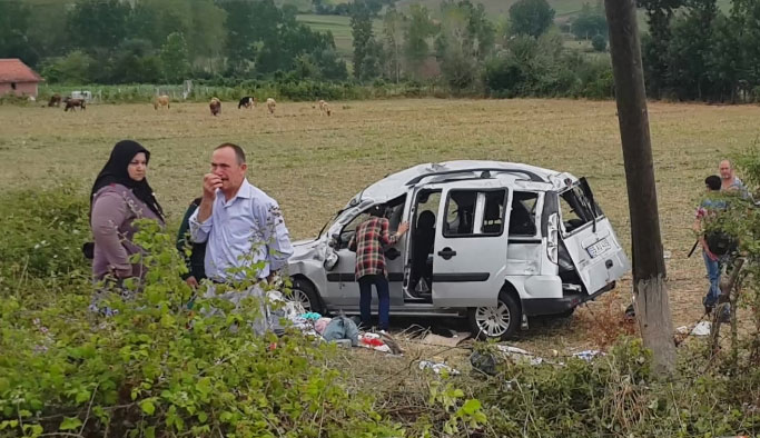 Samsun'da kaza! Civcivi ezmemek için...