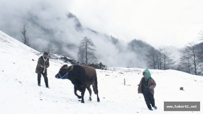 Trabzon Tabibler Odası Kalandar Soğuğu'nda