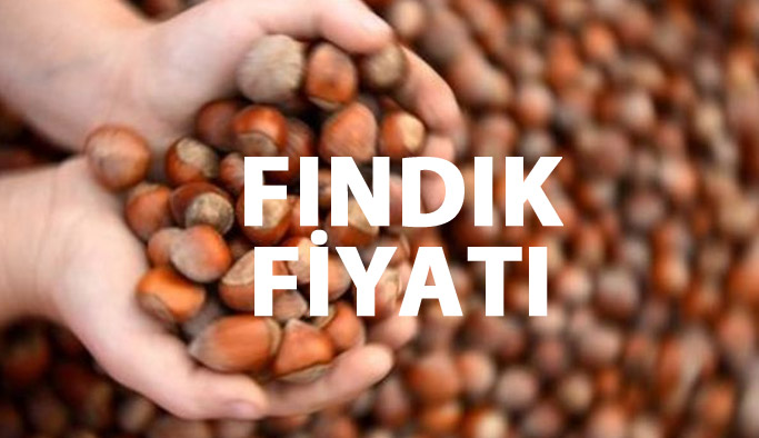 Fındık fiyatları ne kadar oldu? Fındık fiyatı güncel rakamları