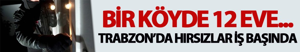 Trabzon'da bir köyde 12 eve hırsız girdi