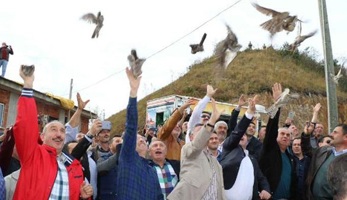 Rize'de atmacalar doğaya bırakıldı