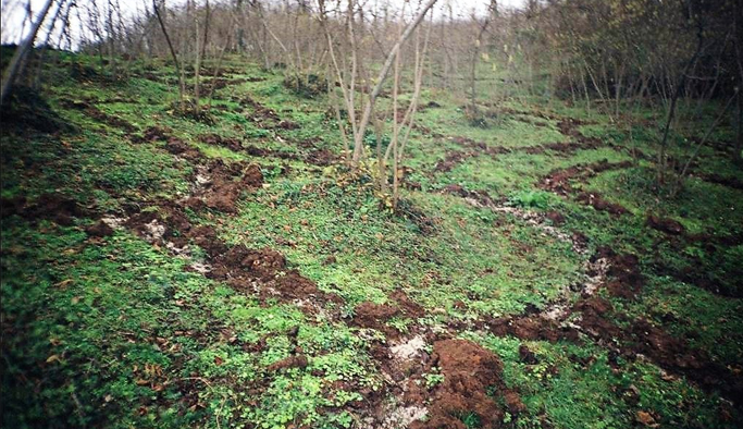 Fındık üreticilerinin yeni sezon heyecanı