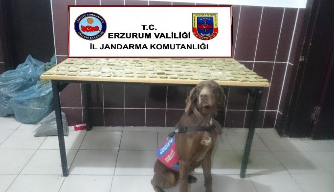 Toprağa gömülü uyuşturucuyu narkotik köpeği buldu