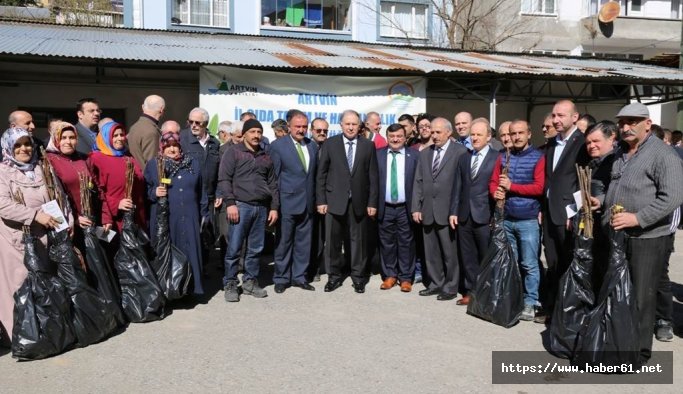 Artvin'de  ceviz ve hurma fidanı dağıtıldı