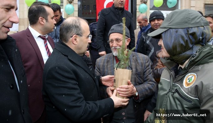 Artvin'de vatandaşlara ücretsiz fidan dağıtıldı