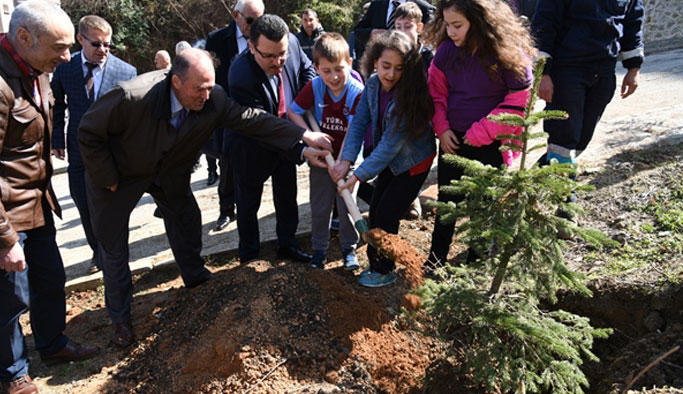 Trabzon'da minikler, hatıra ormanı oluşturdu