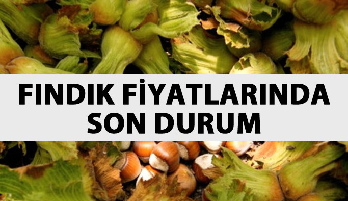 Fındık fiyatları ne kadar oldu? Fındık fiyatında güncel durum