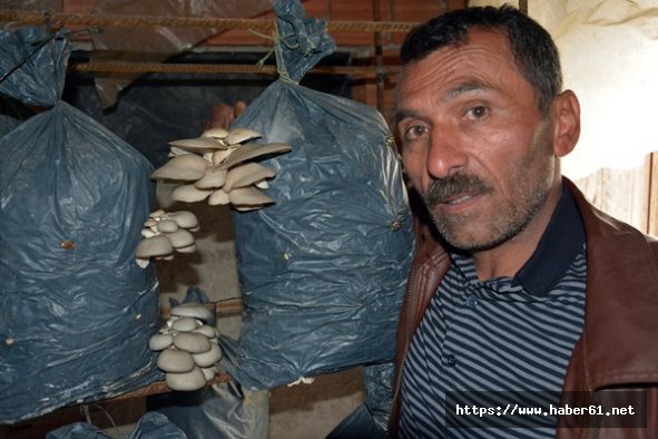 Eki iş diye başladı köşeyi döndü