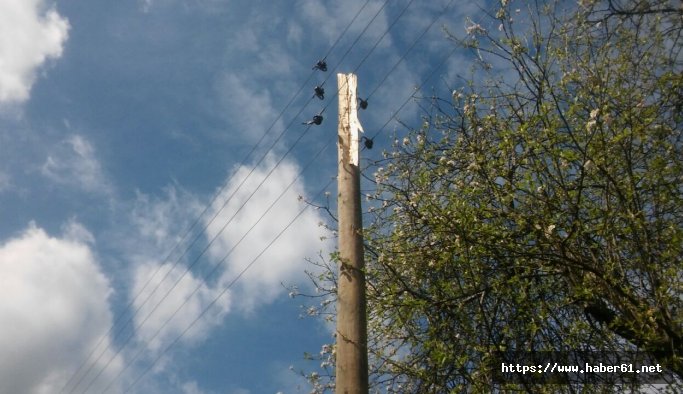 Elektrik direğine yıldırım düştü