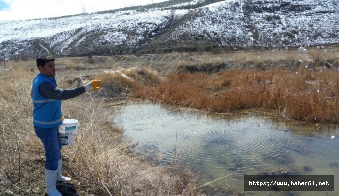 Bayburt'ta Larvalarla mücadele sürüyor