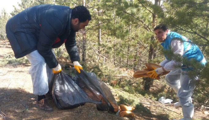 Yaban hayvanları için doğaya yem bırakıldı